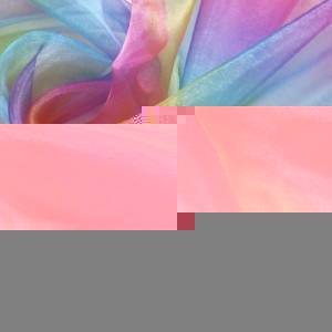 Organza Fabric