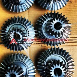 Bevel Gear