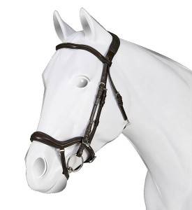 English Bridle