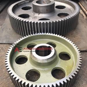 Spur Gear