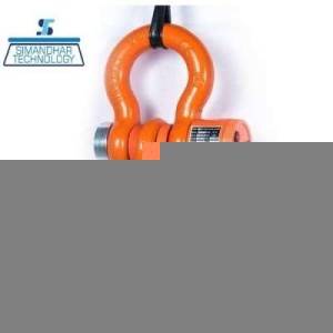 Wireless Crane Scale