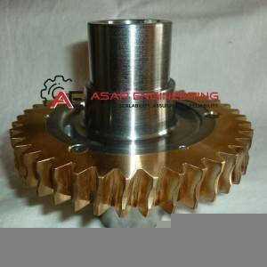 Worm Gear
