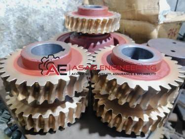 A337 Worm Gear